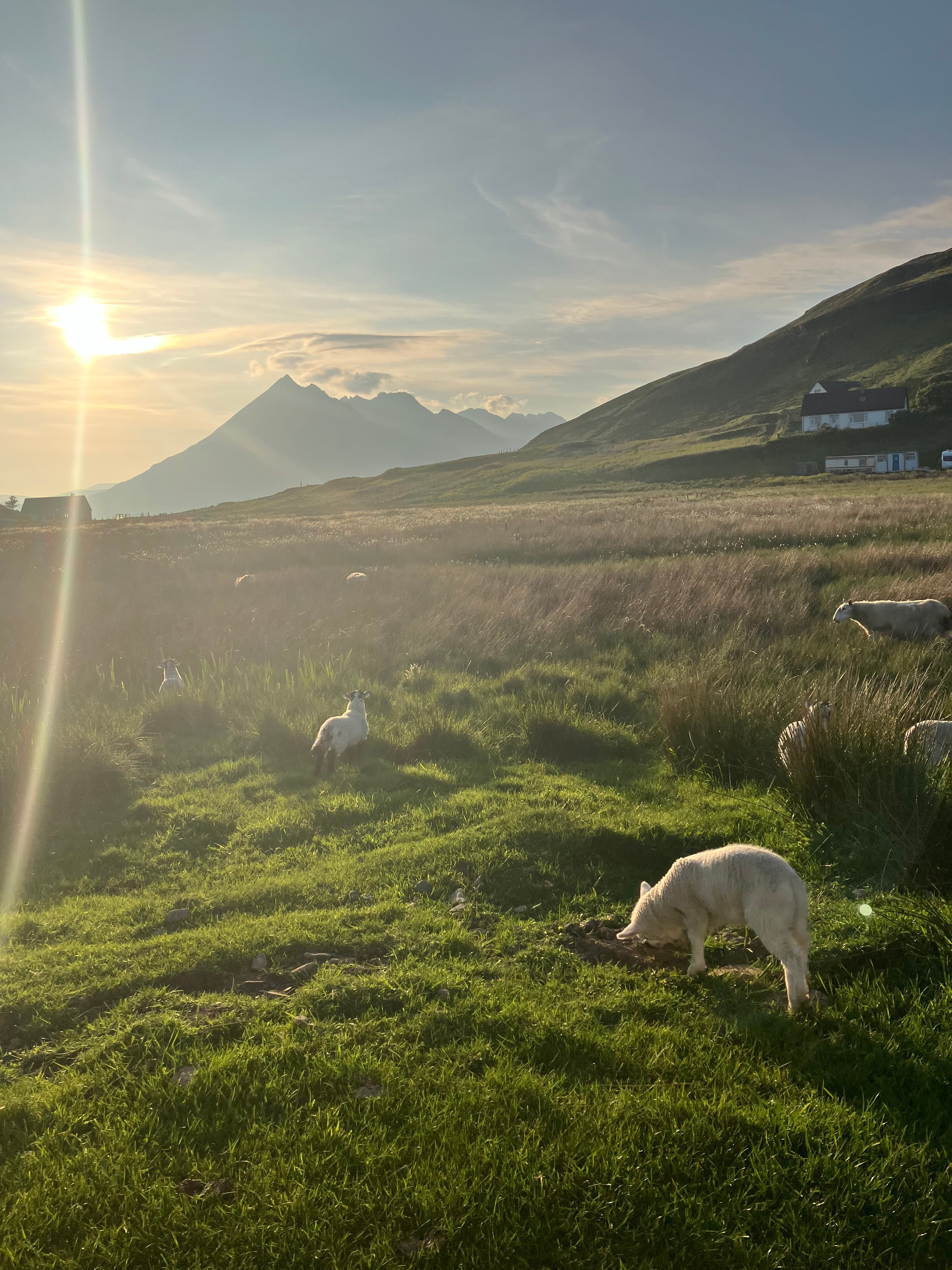 Breaking the Lesbian Sheep/Passive Syndrome: How Our Queer Jewelry and Mixer Events Can Help You Make the First Move